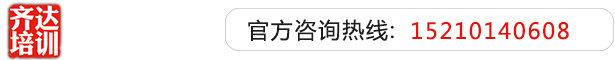 粗大淫污色情齐达艺考文化课-艺术生文化课,艺术类文化课,艺考生文化课logo